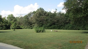 The Campus 